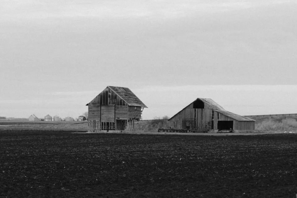 Black and white photo of a hut